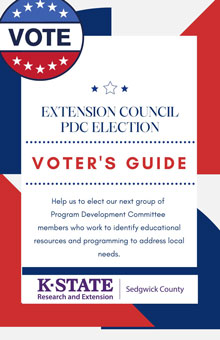 This image shows the cover of the 2022 voting guide.