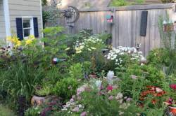 Cottage Garden with SW Flair