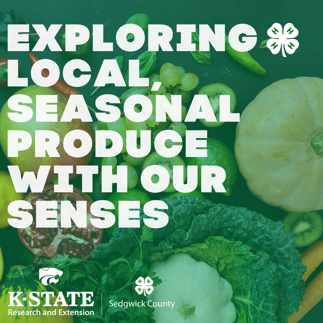 Exploring Local Seasonal Produce with Our Senses