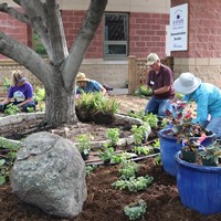 Pictured are Master Gardeners planting flowers in a shade garden.