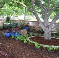 The shade garden at Sedgwick County Extension is pictured here.