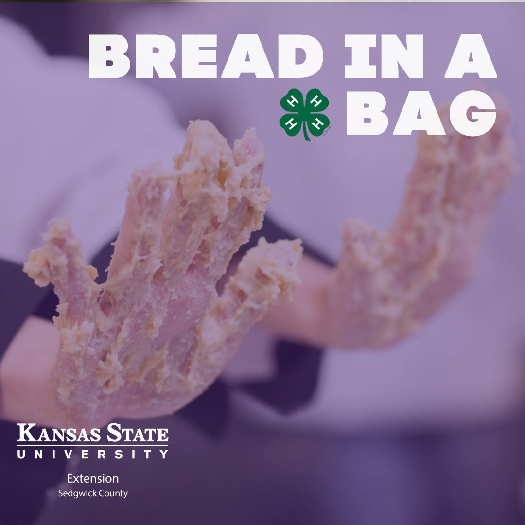 Bread in a Bag