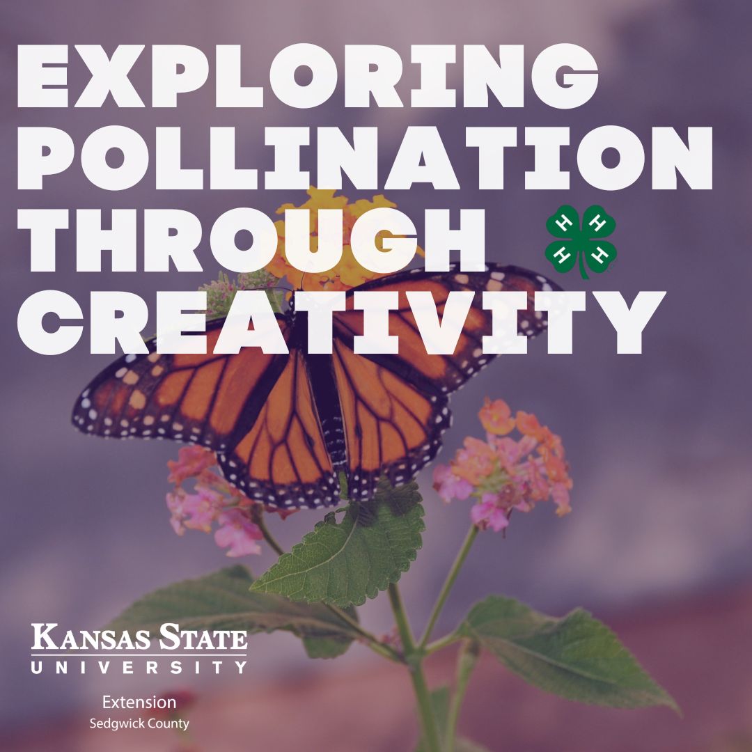 Exploring Pollination