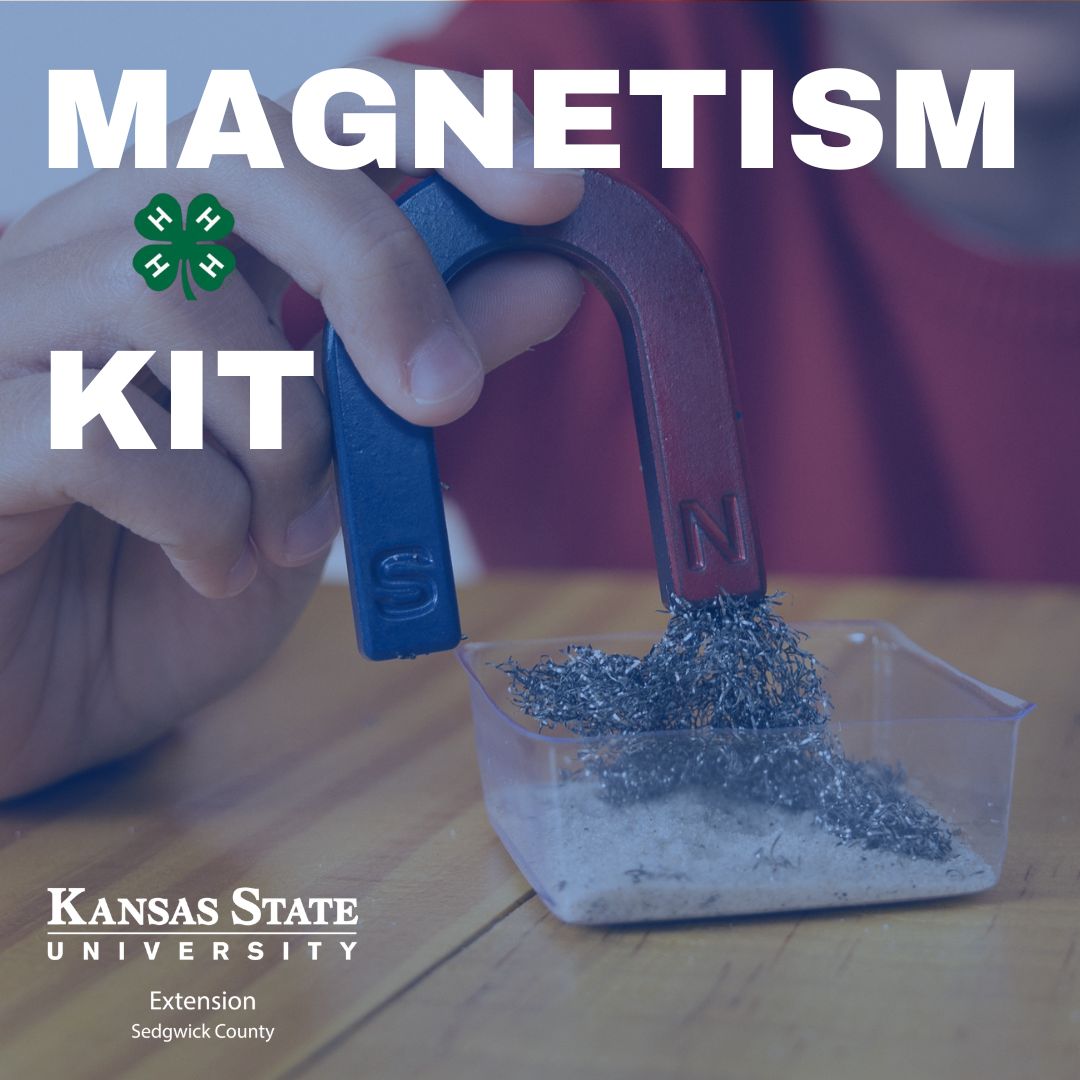 Magnetism Kit