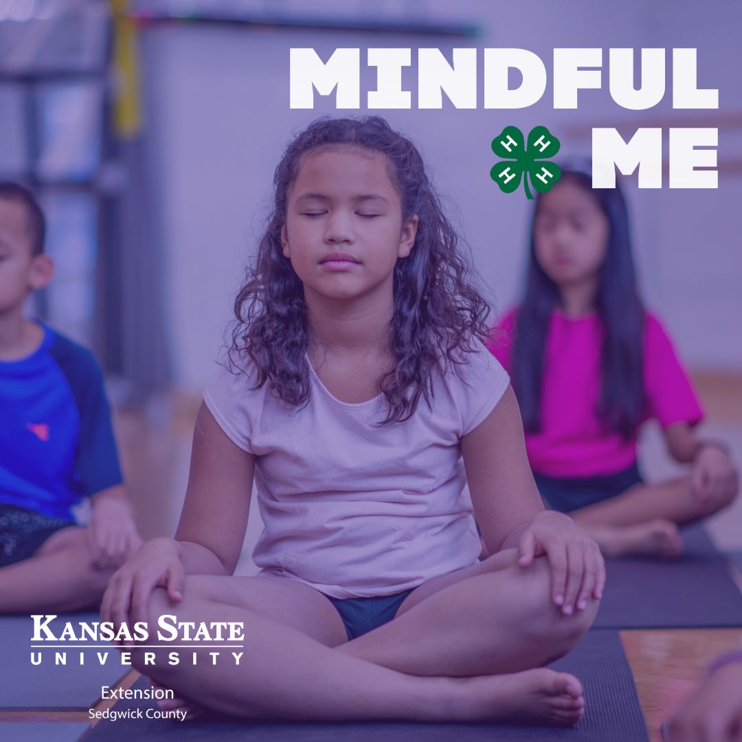 Mindful Me