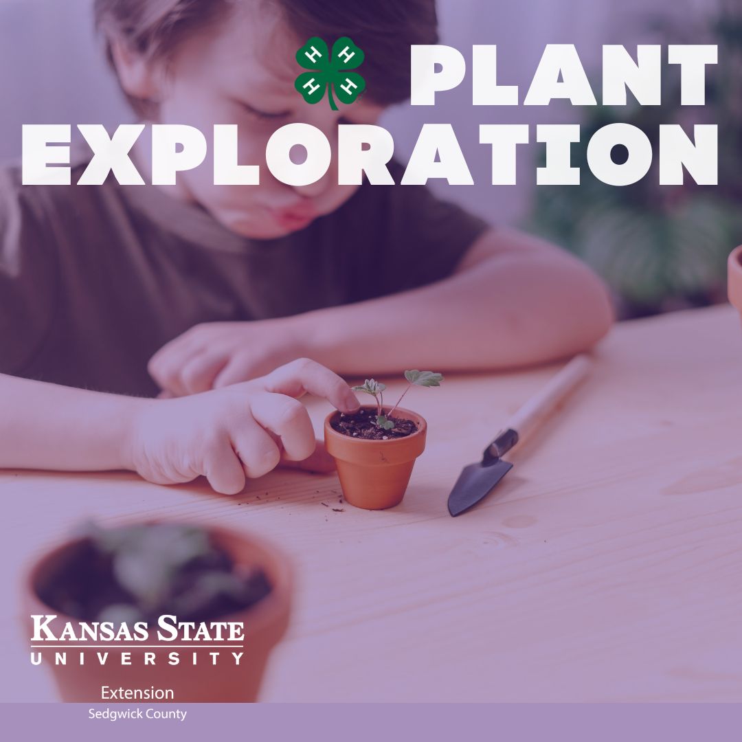 Plant Exploration