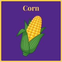 corn