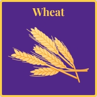 wheat