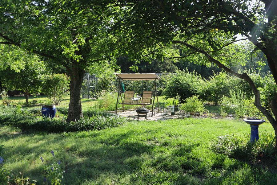 shaded seating area surrounded by trees and shrubs