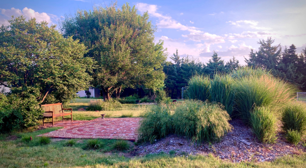 a country landscape with large trees, grasses, and a brick patio