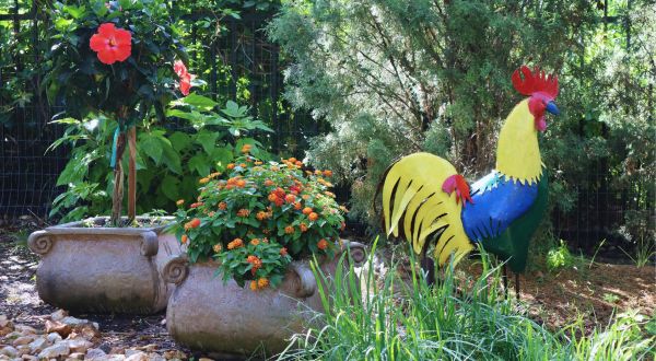 rock arden with stone planters, blooming annuals, and a metal rooster statue