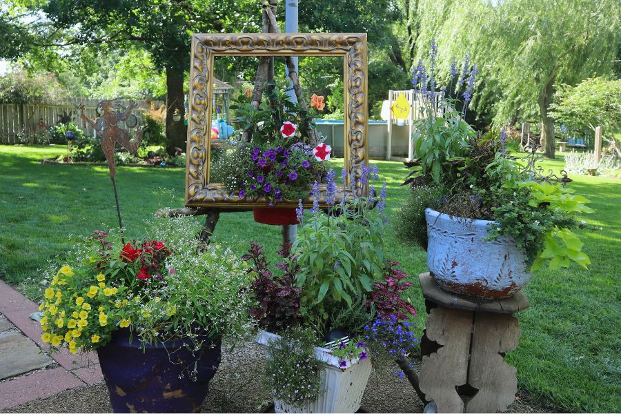 Picture frame with flowers growing in it