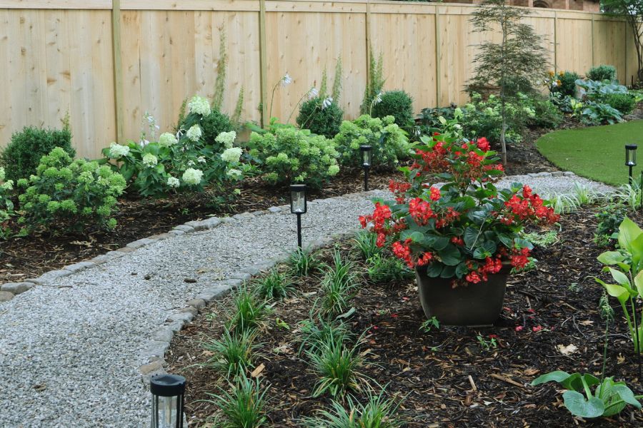 gravel walkway lined with shade plants and lights