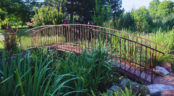 red bridge surrounded by green plants