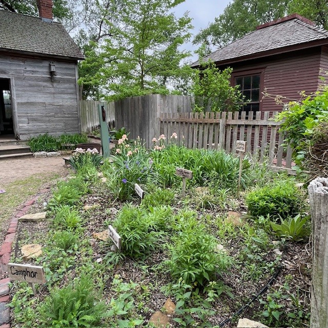 Cowtown Herb Garden