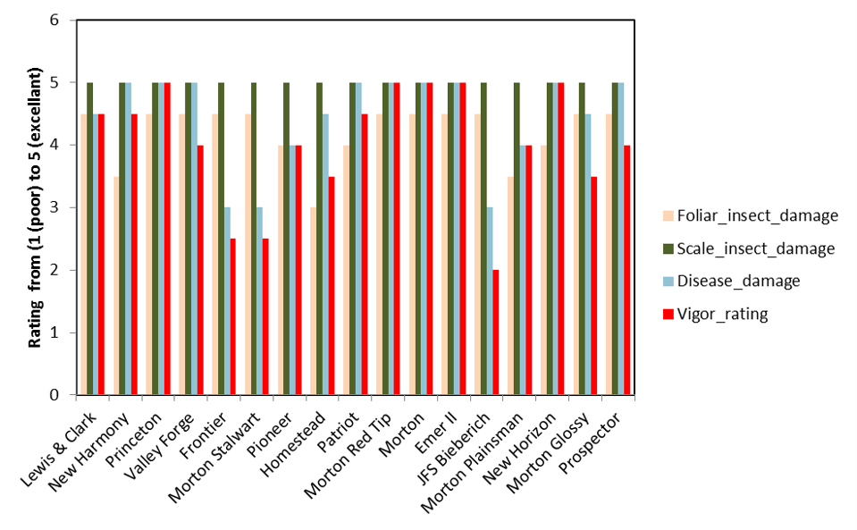 KS Elm insect disease & performance
