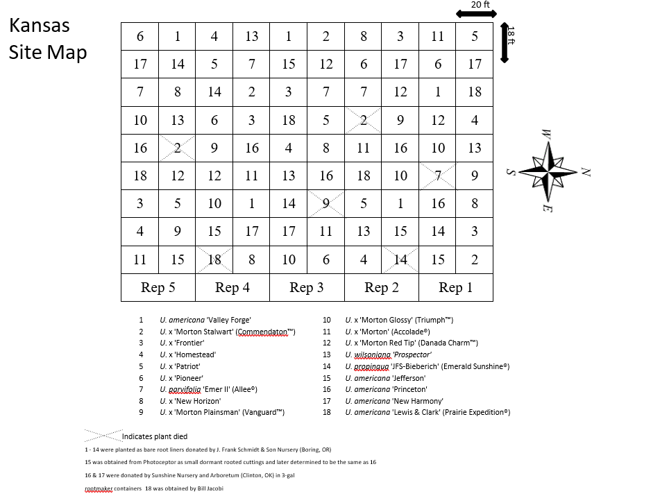 Kansas Elm Site Map