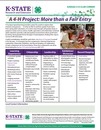 A 4-H Project: More than a Fair Entry