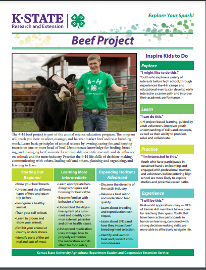 Beef Project