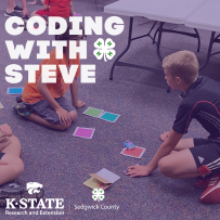 Coding With Steve
