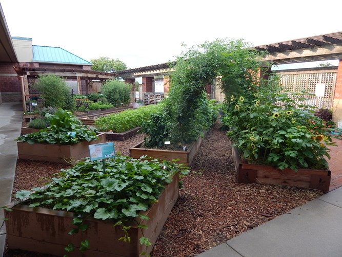Pictured is the Demonstration Garden at the Sedgwick County Extension Education Center.