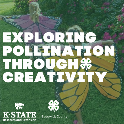 Exploring Plant Pollination