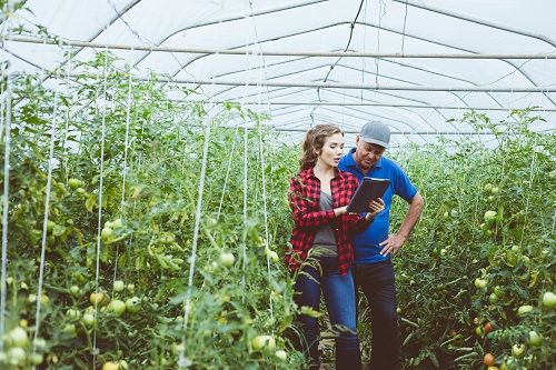A farmer and apprentice review information while working in a hoop house