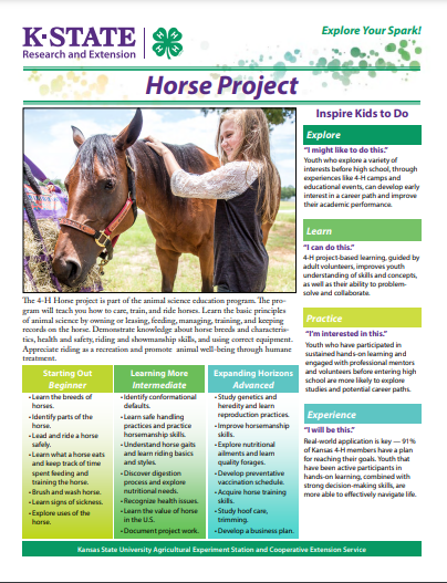 Horse Project