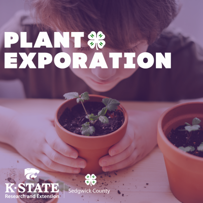Plant Exploration