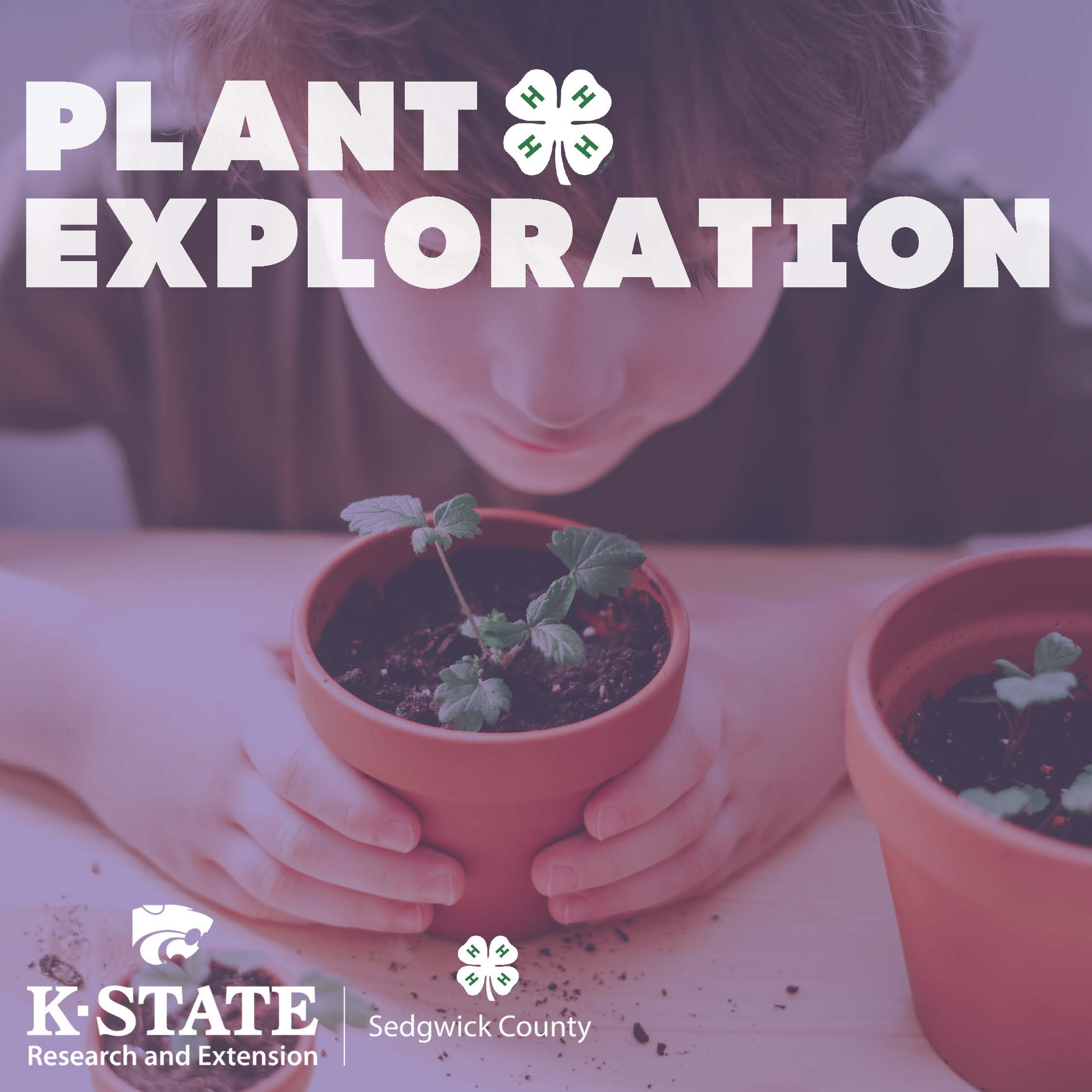 Plant Exploration