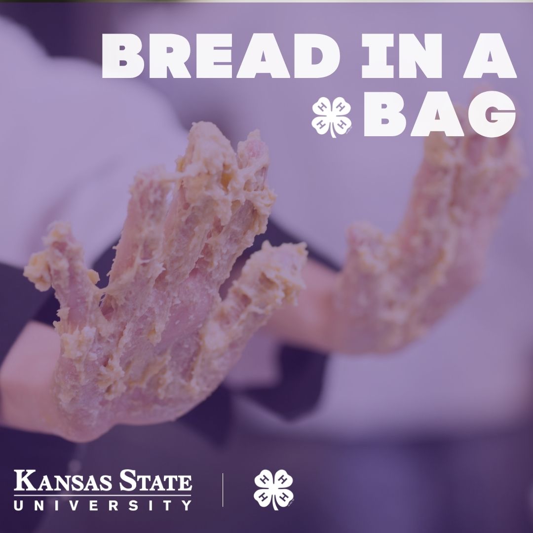 bread dough on hands
