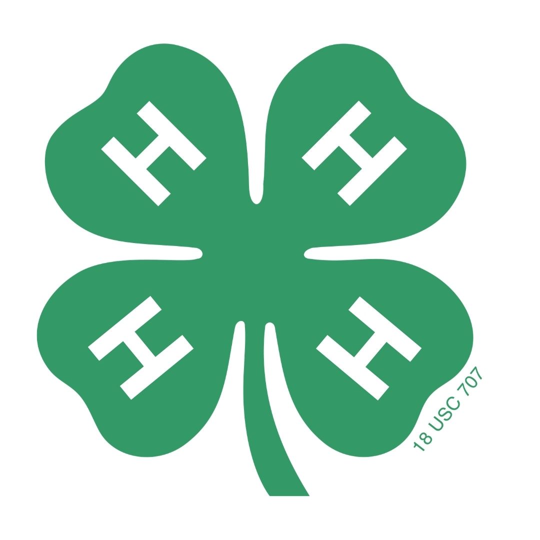 4-H Clover