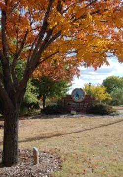 maple tree by extension office sign