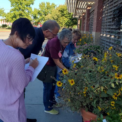 A small group learns about fall flowers. 