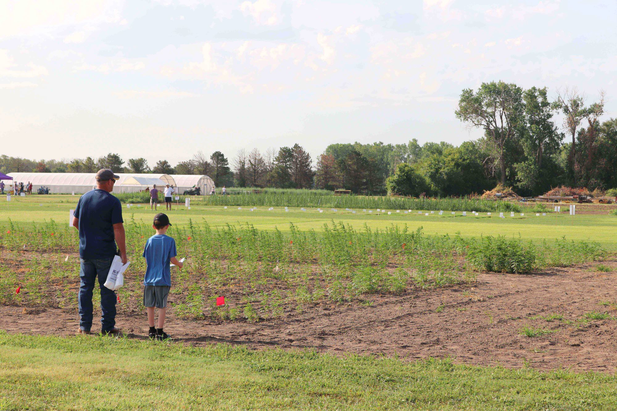 father & son looking at field