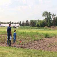 Father and son looking at test plot