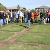 At the John Pair Horticultural Research Center, turfgrass varieties are studied to see what does best in Kansas.