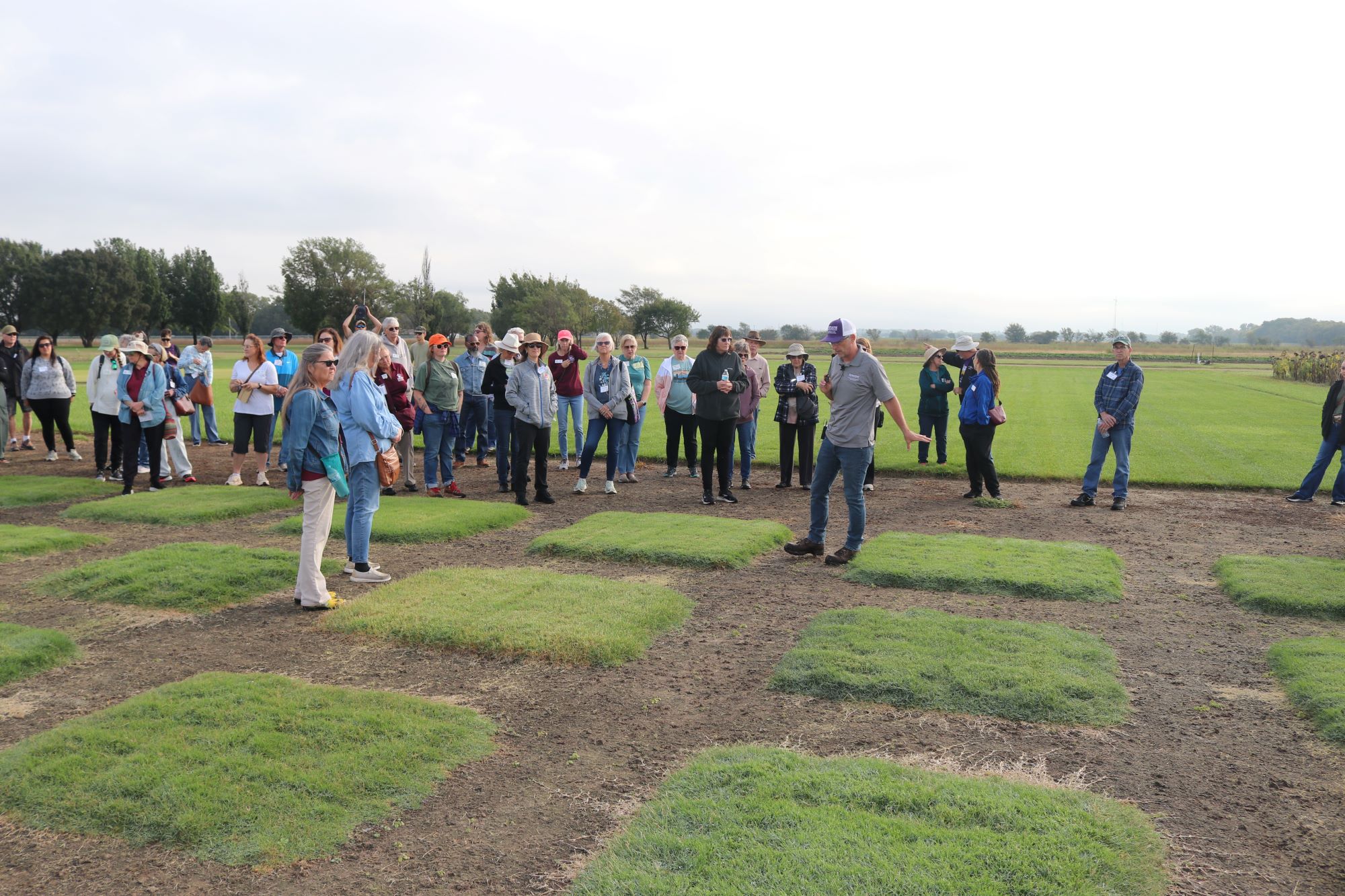 Group looking at grass test plots