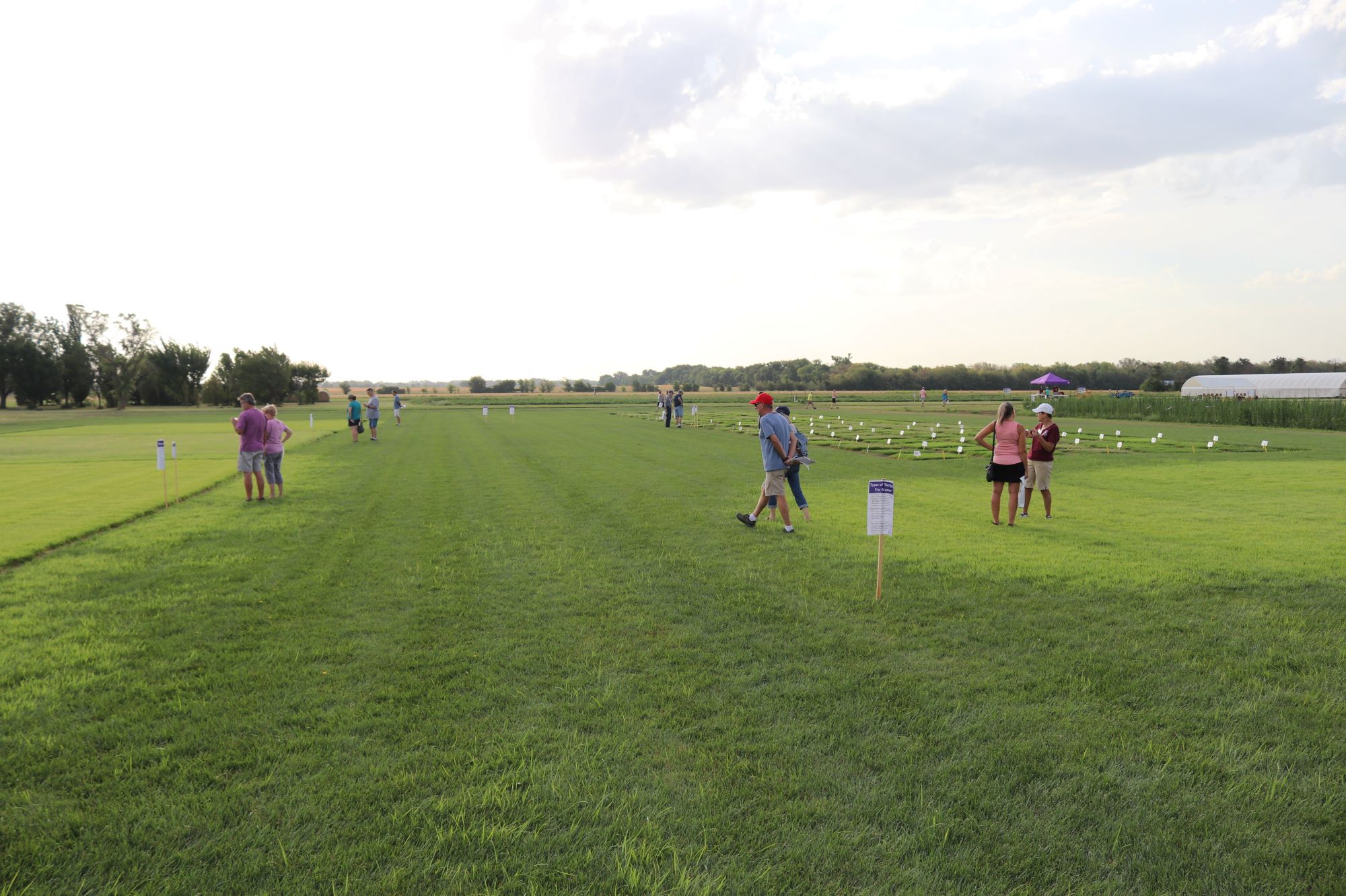 Attendees look at grass test plots
